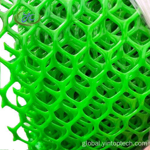 Plastic Chicken Netting HDPE Plastic Poultry Netting Factory